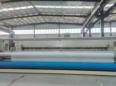 新聞 常德hdpe土工膜廠家送貨 產品出售